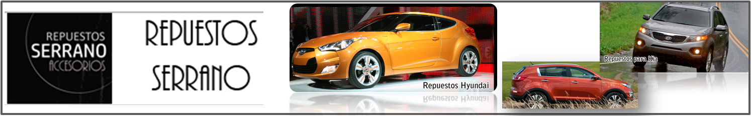 software-local-punto-ventas-comercial-control-gestion4