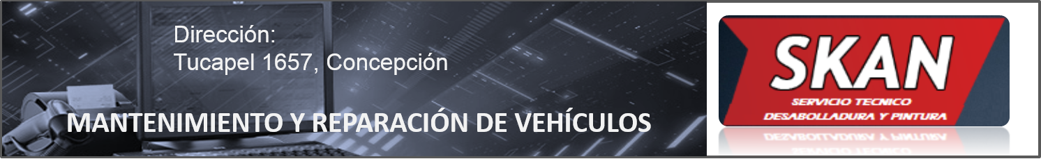 software-local-punto-ventas-comercial-control-skan